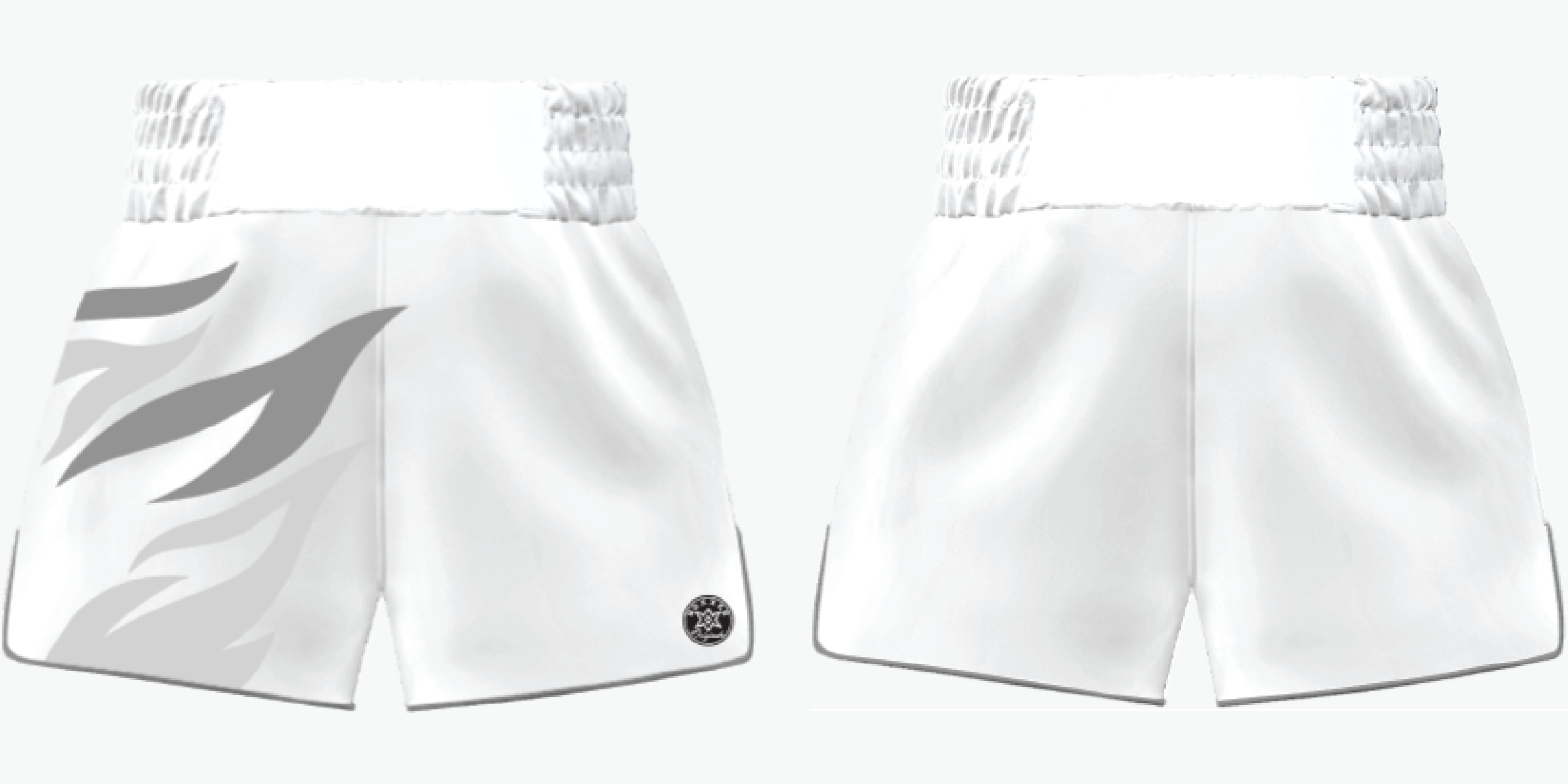 Roy Jones MTS | Custom Muay Thai Shorts | Boxxerworld